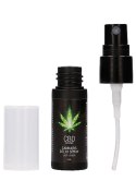 CBD Cannabis Delay Spray - 15 ml