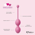 FeelzToys - FemmeFit Advanced Pelvic Muscle Training Set 3 pcs