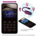 PRETTY LOVE - Doreen, 12 vibration functions 3 electric shock functions Mobile APP Long-distance Control