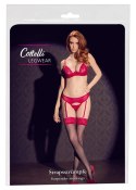 Cottelli LEGWEAR - Czarne Pończochy Z Seksowną Czerwoną Koronką 5