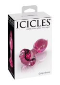 Plug-ICICLES NO 79