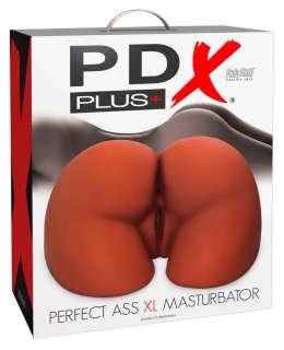 PDX Plus - Masturbator Xl Realistyczny Tors Pośladki Z Pochwą I Anusem Brązowy