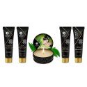 Zestaw akcesoriów - Shunga Geishas Secret Kit Green Tea