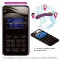 PRETTY LOVE - Ethan purple, 12 vibration functions Mobile APP Long-distance Control