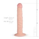 Scott Realistic Dildo