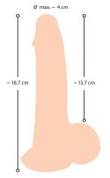 Realistyczny żylasty penis z przyssawką 19 cm