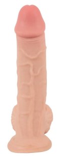 Realistyczny żylasty penis z przyssawką 19 cm