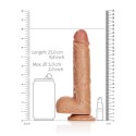 RealRock - Proste realistyczne dildo z jądrami i przyssawką 23 cm