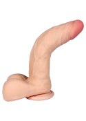 Dildo z kręgosłupem członek penis z jądrami 23cm